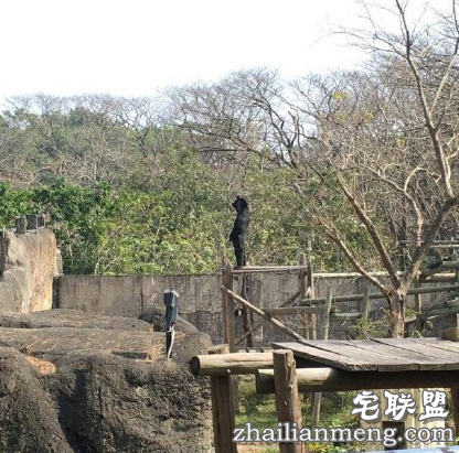 遭家暴30年不离婚,说:熬到打不动就好了。 遭家暴30年不离婚,说:熬到打不动就好了。