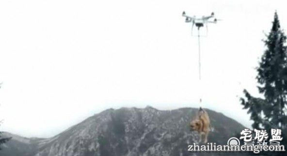 装逼男用无人机遛狗 不料无人机失灵带着狗飞上天！