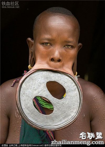 吓人!全球上最大的唇盘 称嘴大陪嫁的牛畜越多! 吓人!全球上最大的唇盘 称嘴大陪嫁的牛畜越多!