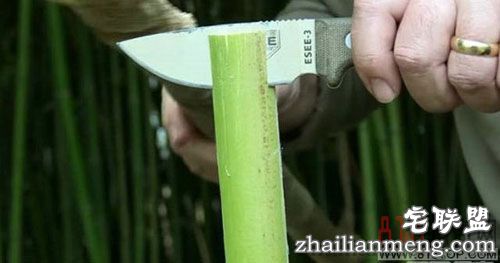 老外用竹子制作传说中的竹刀:最后的成品大家都惊讶了! 老外用竹子制作传说中的竹刀:最后的成品大家都惊讶了!