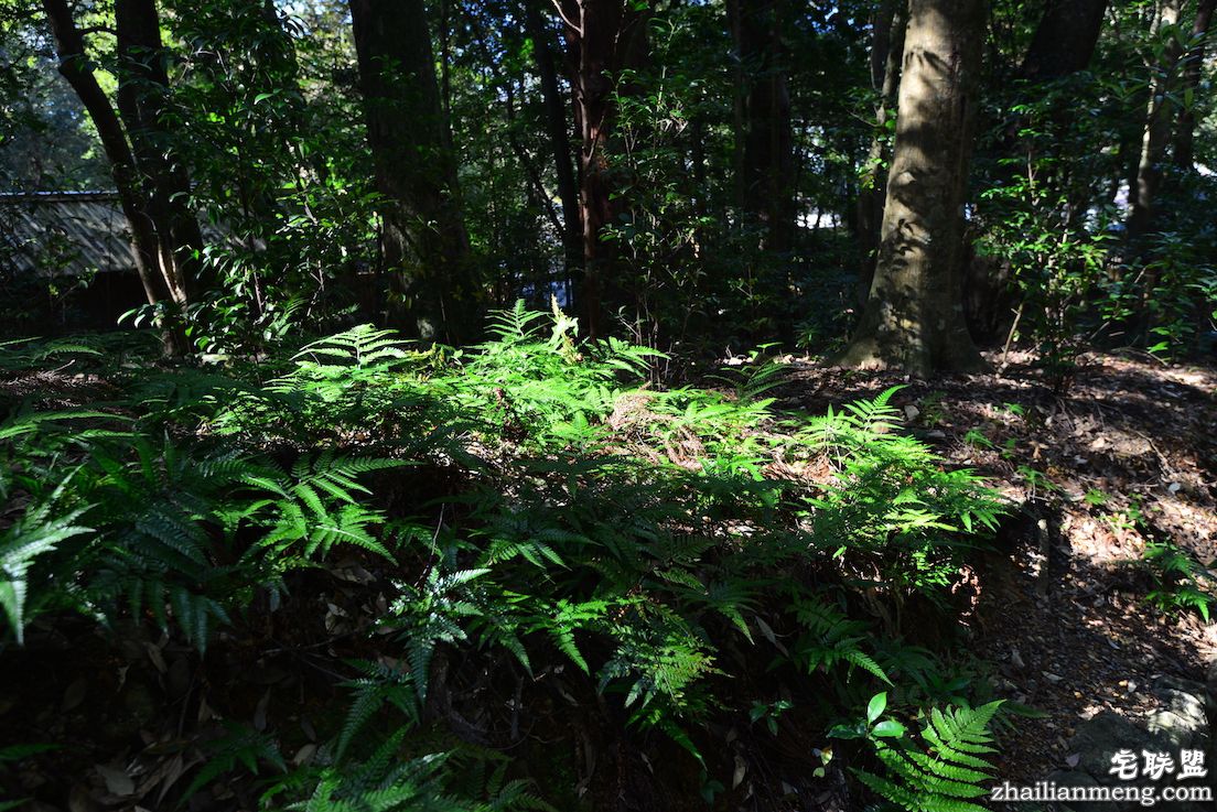 伊势 日夜兼程:第五日上午,参访伊势神宫@wildgun的2016早春关西游记