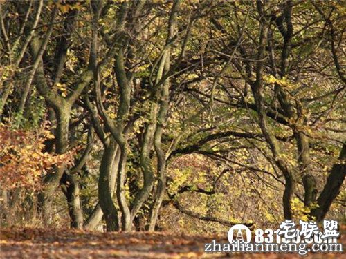 10个全球上最恐怖的地方曝光 够胆来闯! 10个全球上最恐怖的地方曝光 够胆来闯!