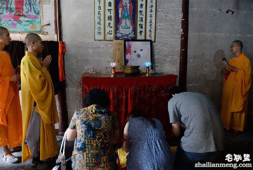 上海现宠物狗最豪华葬礼 百万豪车送行 上海现宠物狗最豪华葬礼 百万豪车送行