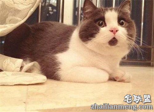 2016年最新网络流行语 句句经典 2016年最新网络流行语 句句经典