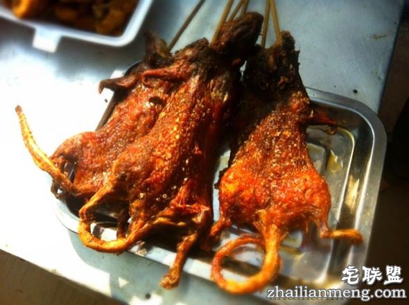 越南民俗:偏爱老鼠肉 网友:口味太重受不了了 越南民俗:偏爱老鼠肉 网友:口味太重受不了了