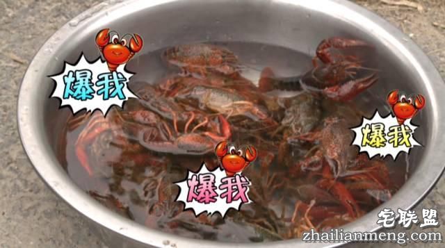 天啦噜!居然有人用爆米花的大炮筒爆小龙虾,看到结果我惊呆了