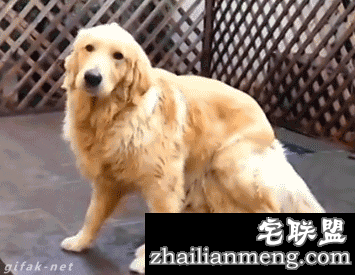 精选gif图:好阴险呀!这种行为会被鄙视的!