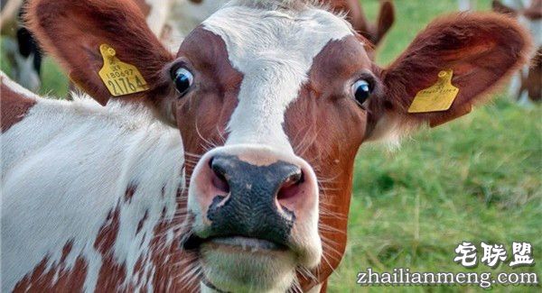 除了cup,乳房竟然还有10处看点! 除了cup,乳房竟然还有10处看点!