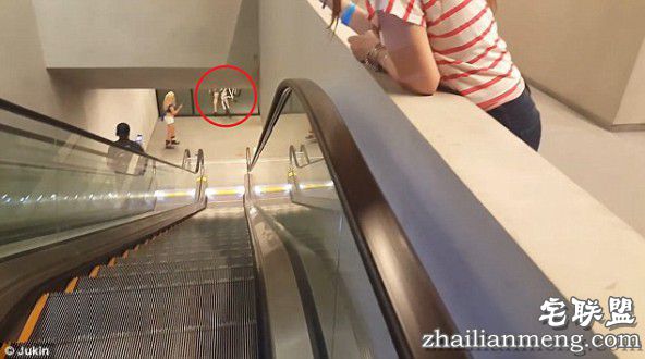 美国少年骑自行车下电梯 没刹住直接撞墙上!