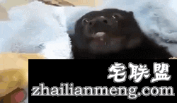 老实讲，这两条腿够玩好几十年了！哈哈