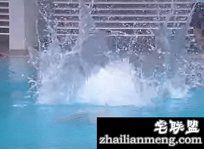 精选gif图:好阴险呀!这种行为会被鄙视的!