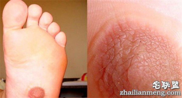 除了cup,乳房竟然还有10处看点! 除了cup,乳房竟然还有10处看点!