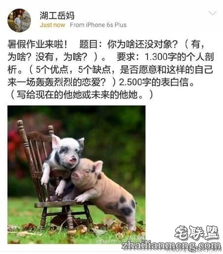 奇葩的暑假作业题目:你为啥还没对象