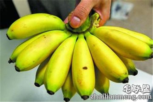 女童吃芭蕉噎死 父母将赠蕉者告上法庭 女童吃芭蕉噎死 父母将赠蕉者告上法庭