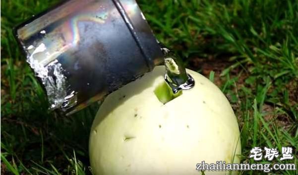 好好的香瓜不吃居然要倒入液态铝?然而剖开后才明白他的用心良苦