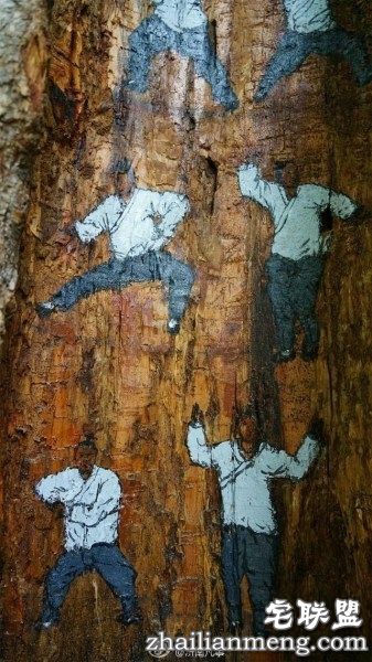 树洞惊现武功秘籍