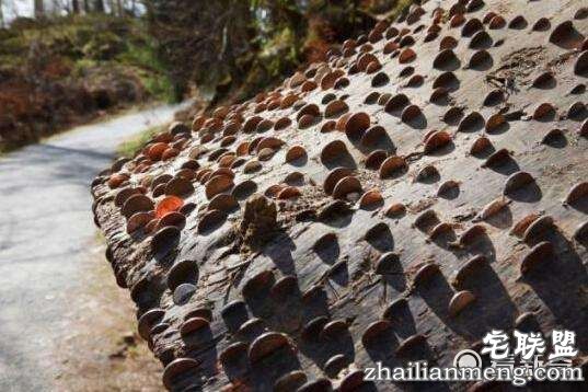 3d79d3e6fbe23026aeaace7002390afa60jpegx3600x