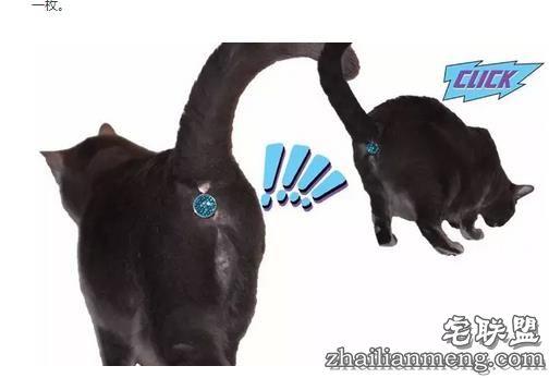 17个脑洞大开的搞笑发明,忍不住给满分!