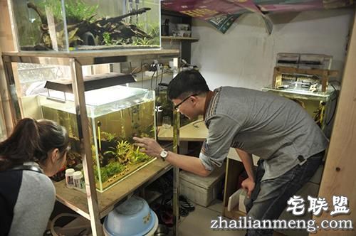 现在大学宿舍流行男生种黄瓜女生种西瓜