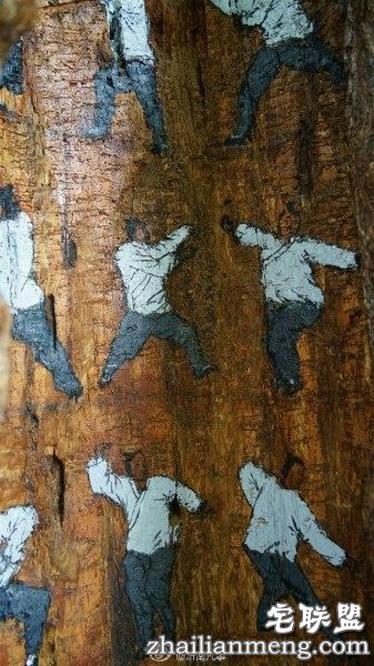 树洞惊现武功秘籍