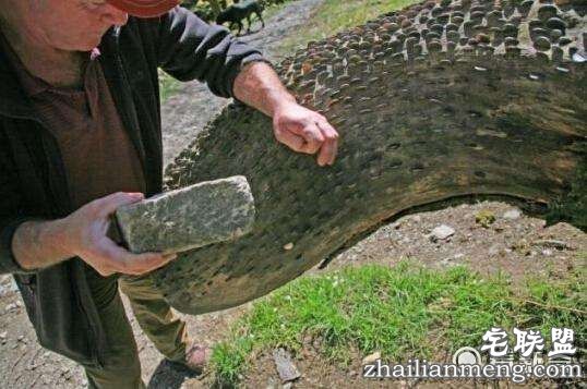 12a0d8842ecce630dda4b0f4da27282160jpegx3600x