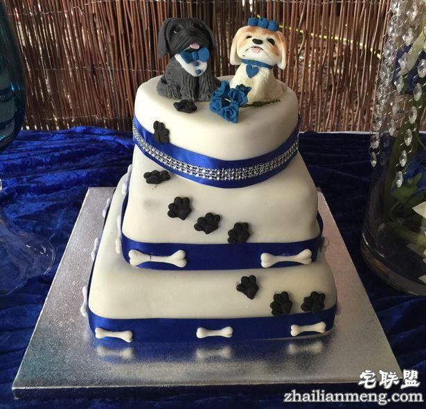 英国女子花1.7万元为狗办婚礼