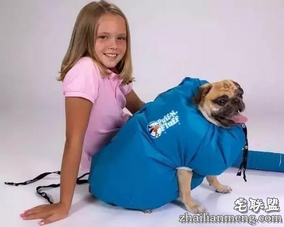 17个脑洞大开的搞笑发明,忍不住给满分!