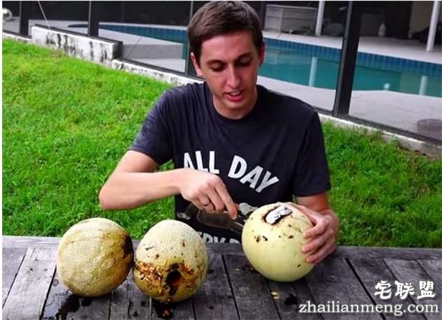 好好的香瓜不吃居然要倒入液态铝?然而剖开后才明白他的用心良苦