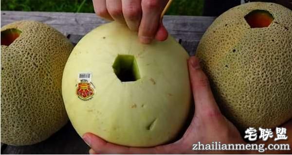好好的香瓜不吃居然要倒入液态铝?然而剖开后才明白他的用心良苦