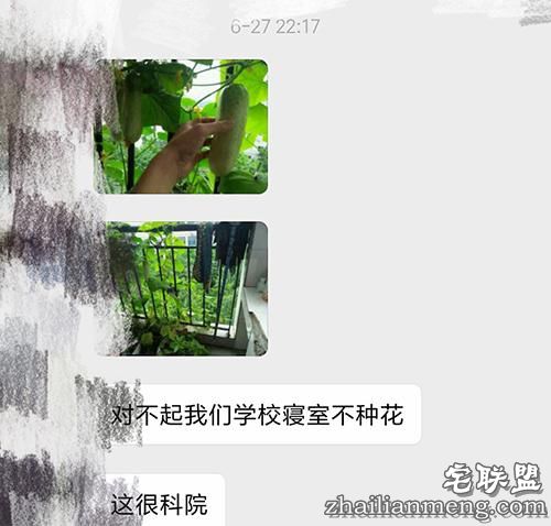 现在大学宿舍流行男生种黄瓜女生种西瓜