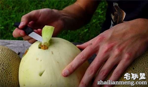 好好的香瓜不吃居然要倒入液态铝?然而剖开后才明白他的用心良苦