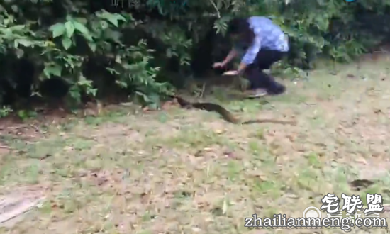 霸气四溅!这女人瞬间拿下两米长蛇