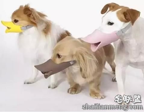 17个脑洞大开的搞笑发明,忍不住给满分!