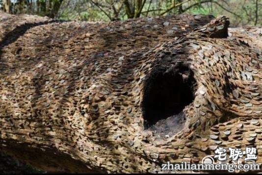 883e1f511365fc3fbeb3c4b84185cce360jpegx3600x