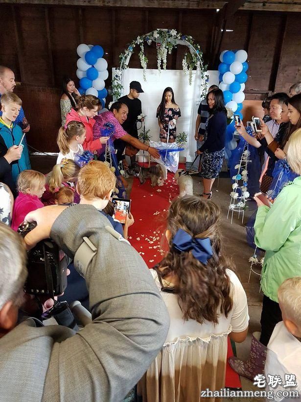 英国女子花1.7万元为狗办婚礼