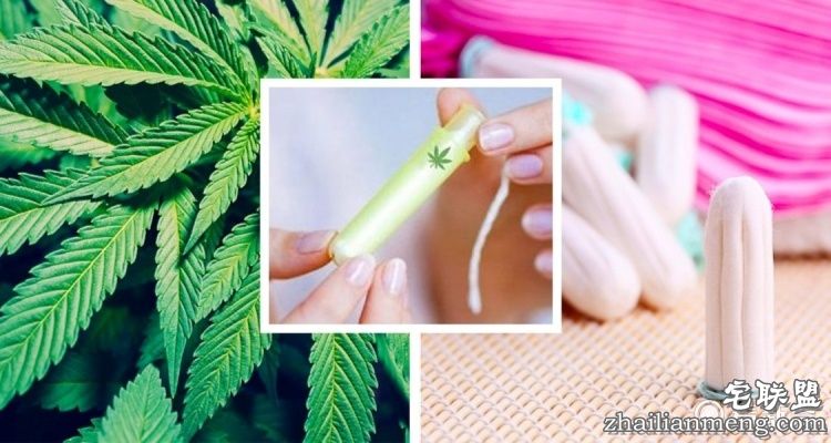 美国推大麻版卫生棉条,大姨妈嗨了