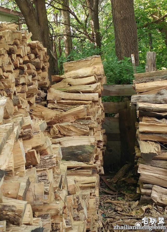 猫奴指数测试,在画面中找出主子!