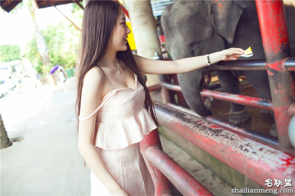 [推女神] 性感嫩模刘奕宁Lynn性感猫女装酒店火辣诱惑 第458期第15张