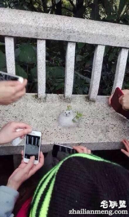 超级霸王寒潮把南方人都冻懵了 还入冬失败？