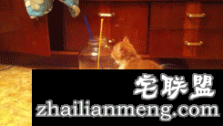 大叔失望的表情令人同情啊哈哈。。。