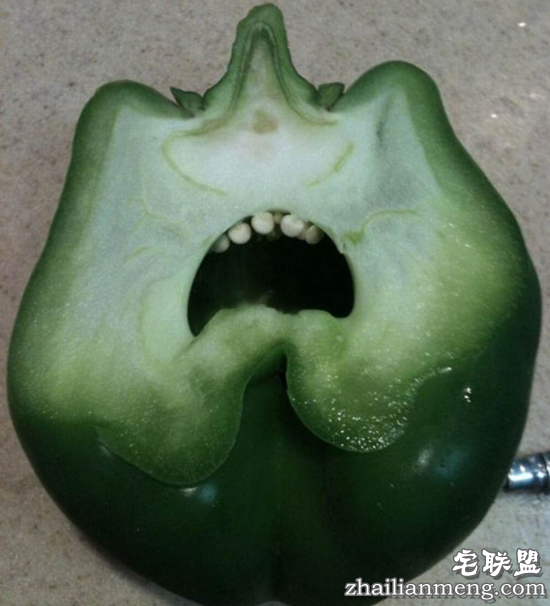 一大波恐怖又幽默的家庭日用品表情包