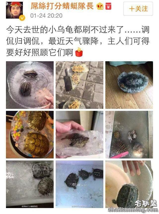 超级霸王寒潮把南方人都冻懵了 还入冬失败？