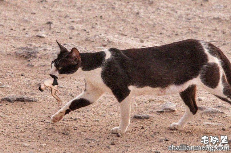 他醉酒照被传到网上后,又被神奇的网友玩坏了