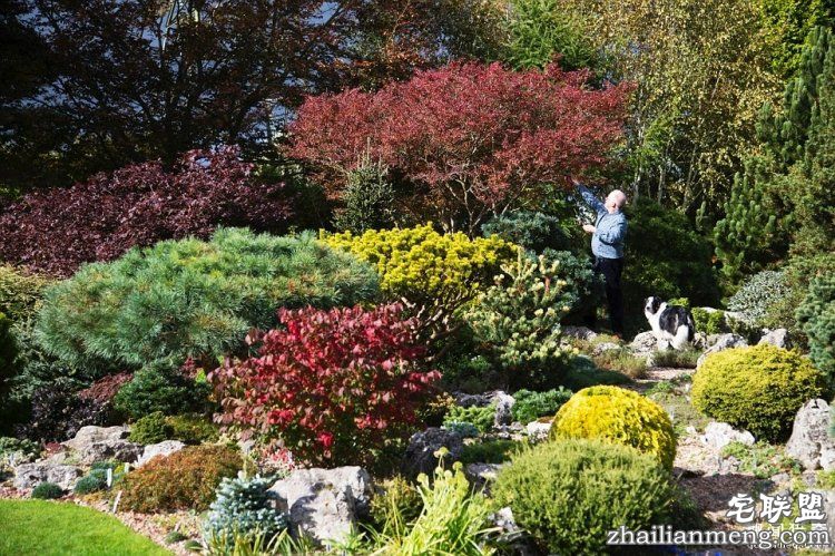 英国爸爸花费25年,打造浪漫秘密花园