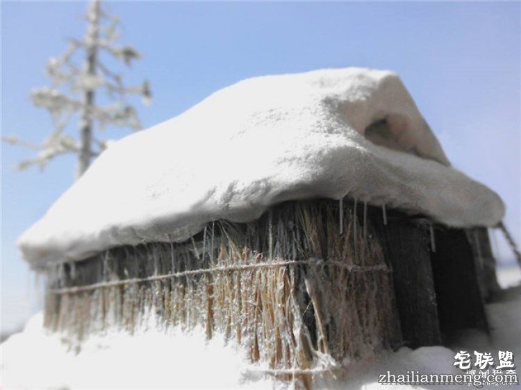 日本男子做出超迷你废墟模型,太不可思议了