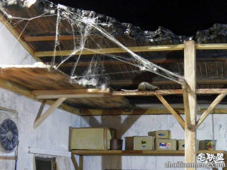 日本男子做出超迷你废墟模型,太不可思议了