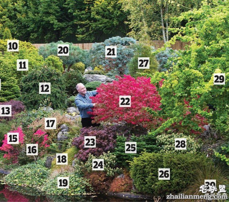 英国爸爸花费25年,打造浪漫秘密花园