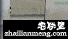 大叔失望的表情令人同情啊哈哈。。。
