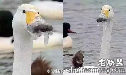 超级霸王寒潮把南方人都冻懵了 还入冬失败？