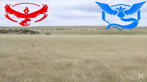 搞笑强:姑娘看样你需要个男人来照顾你了